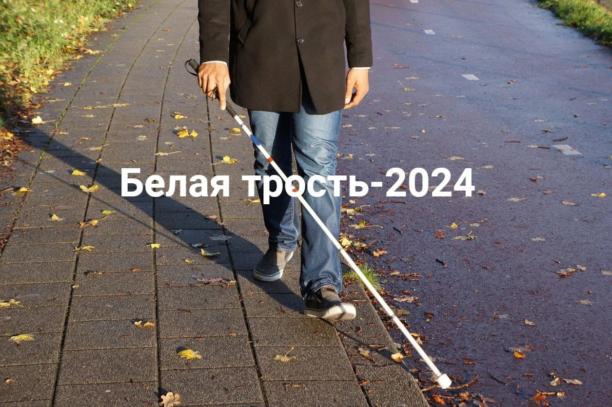 Ежегодно с 15 октября – Международного дня белой трости и по 13 ноября – Международный день слепых – в России проходит Месячник белой трости.